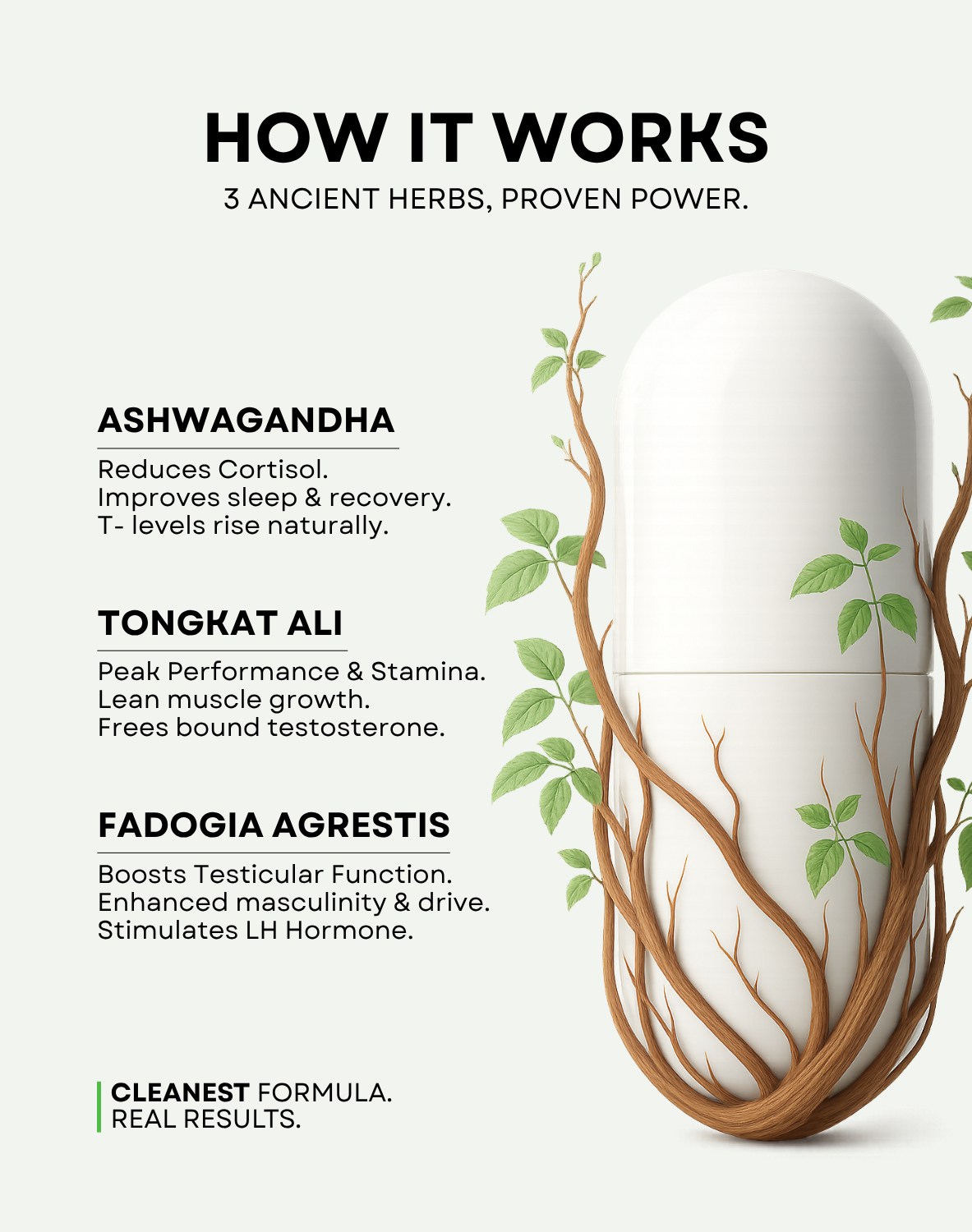 Godpill - Unlock Your True Potential.