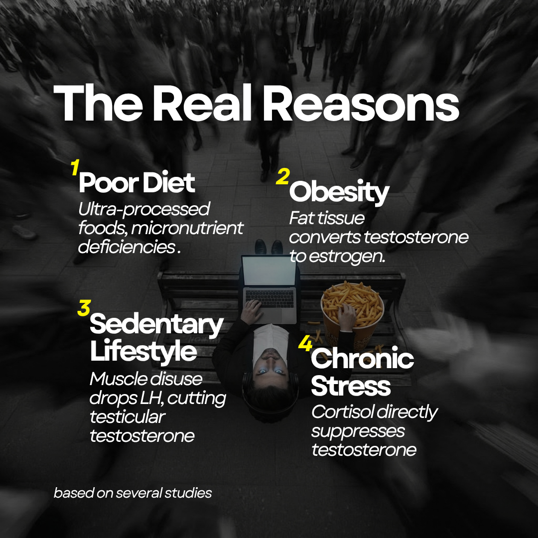 Godpill - 360° Testosterone Support