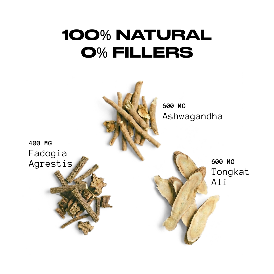 Godpill - 360° Testosterone Support