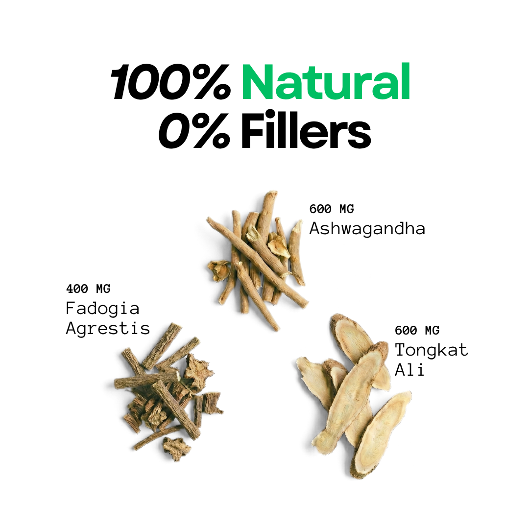 Godpill - 360° Testosterone Support