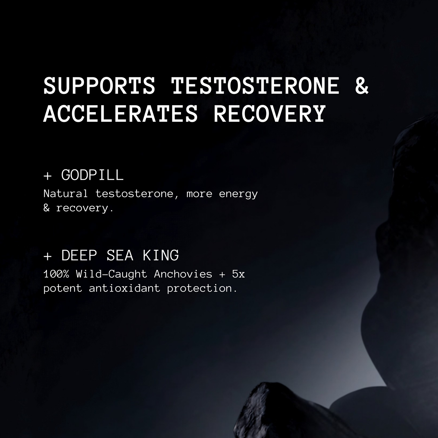 The Vitality & Recovery Stack