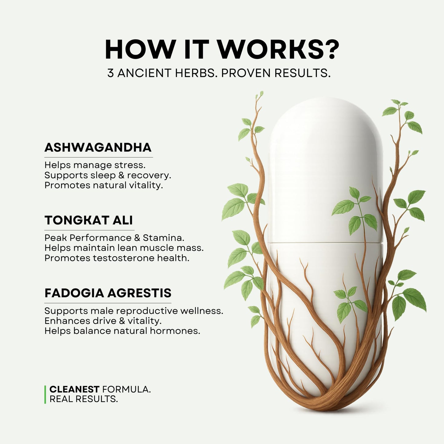 Godpill - 360° Testosterone Support & Performance