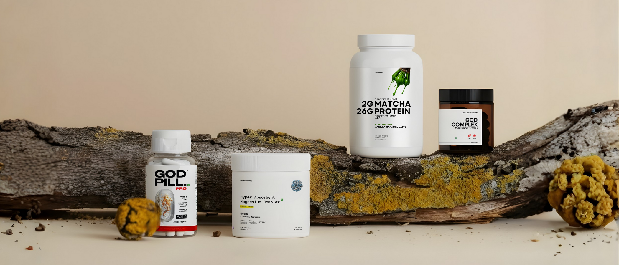SUPPLEMENTS