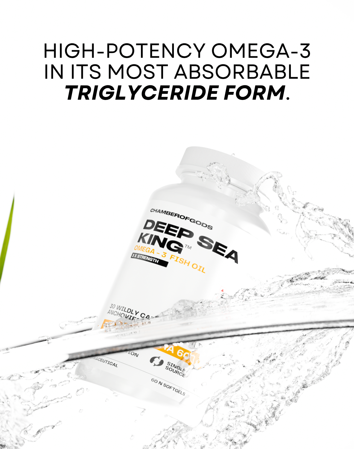 DeepSeaKing Triglyceride Omega 3 | 60 Softgels