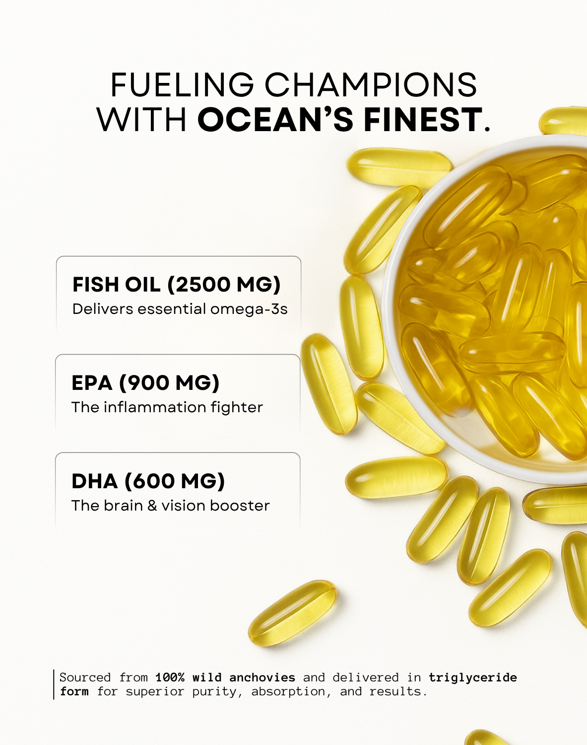 DeepSeaKing Triglyceride Omega 3 | 60 Softgels