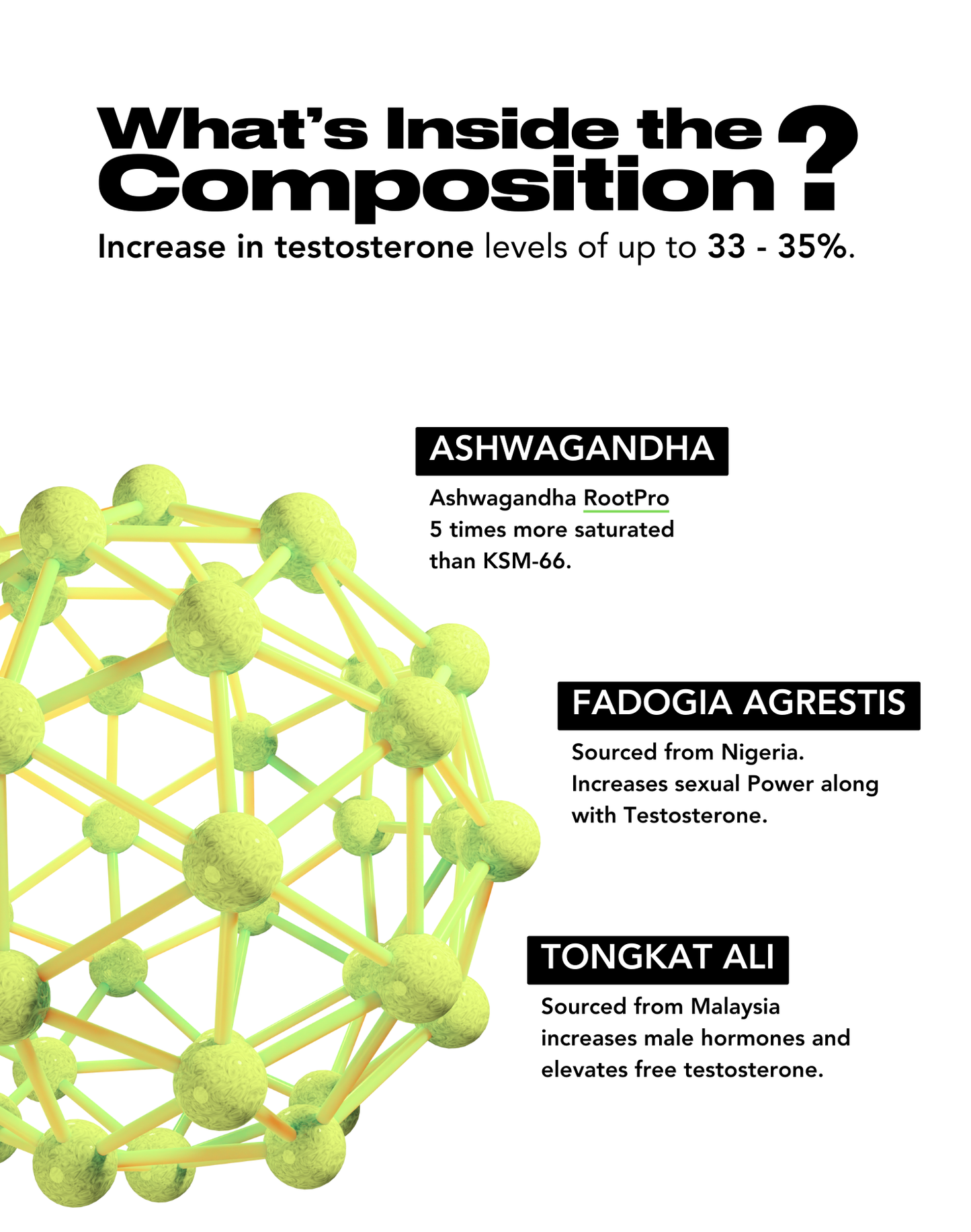 Supplement Composition Featuring Testosterone-Boosting Ingredients: Ashwagandha RootPro (5 Times More Saturated Than KSM-66), Fadogia Agrestis from Nigeria for Sexual Power, and Tongkat Ali from Malaysia for Elevated Free Testosterone Levels