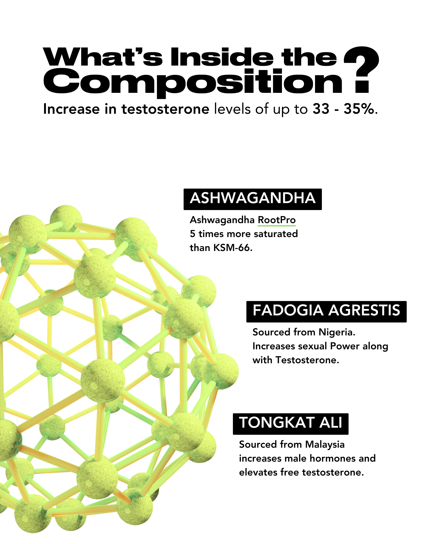 Supplement Composition Featuring Testosterone-Boosting Ingredients: Ashwagandha RootPro (5 Times More Saturated Than KSM-66), Fadogia Agrestis from Nigeria for Sexual Power, and Tongkat Ali from Malaysia for Elevated Free Testosterone Levels