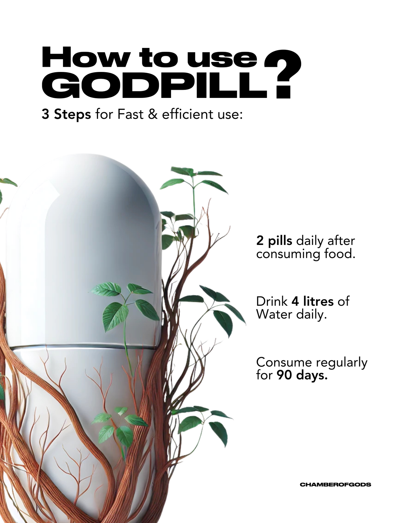 A guide on using 'God Pill' shows a capsule with roots and leaves, symbolizing growth. The text explains the process: take 2 pills daily after meals, drink 4 liters of water daily, and consume regularly for 90 days for best results.
