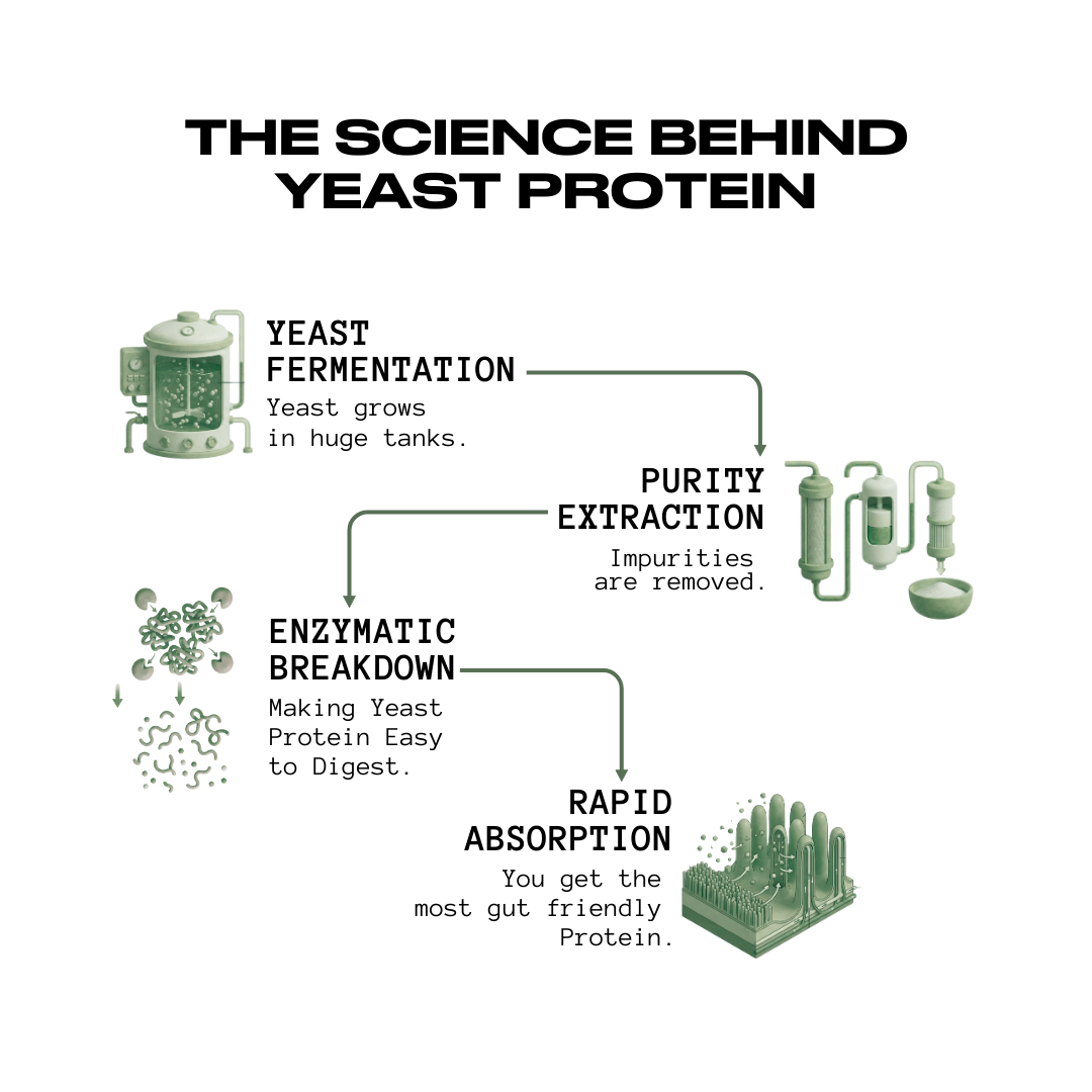 100% Pure Fermented Yeast Protein | Unflavoured - 30 Servings