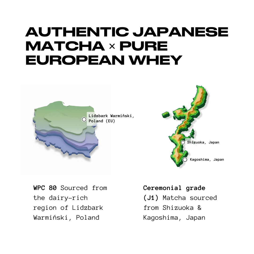 Matcha x Protein | 26 Grams Protein | True Blends Exclusive | 30 Servings