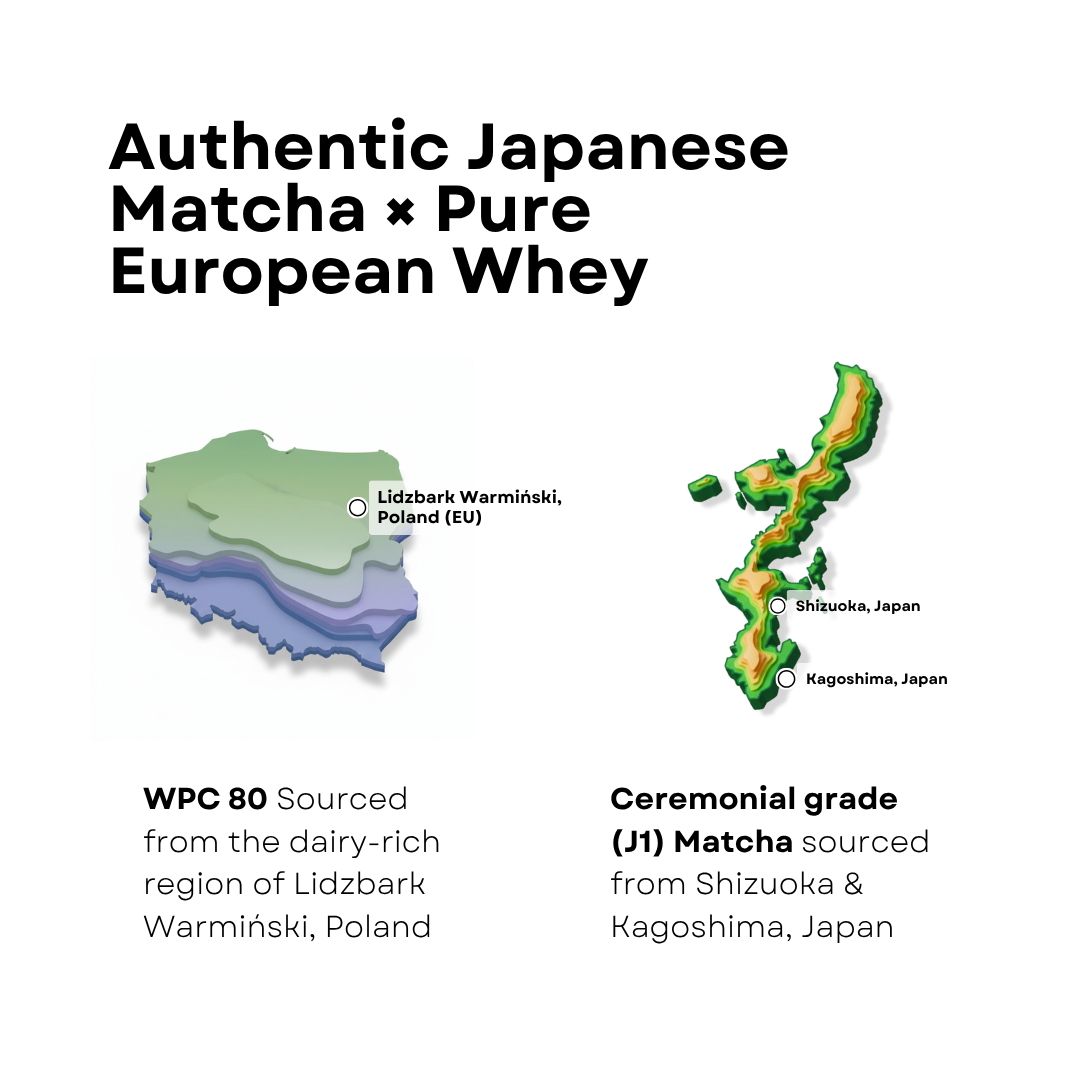 Matcha x Protein | 26 Grams Protein | True Blends Exclusive | 30 Servings