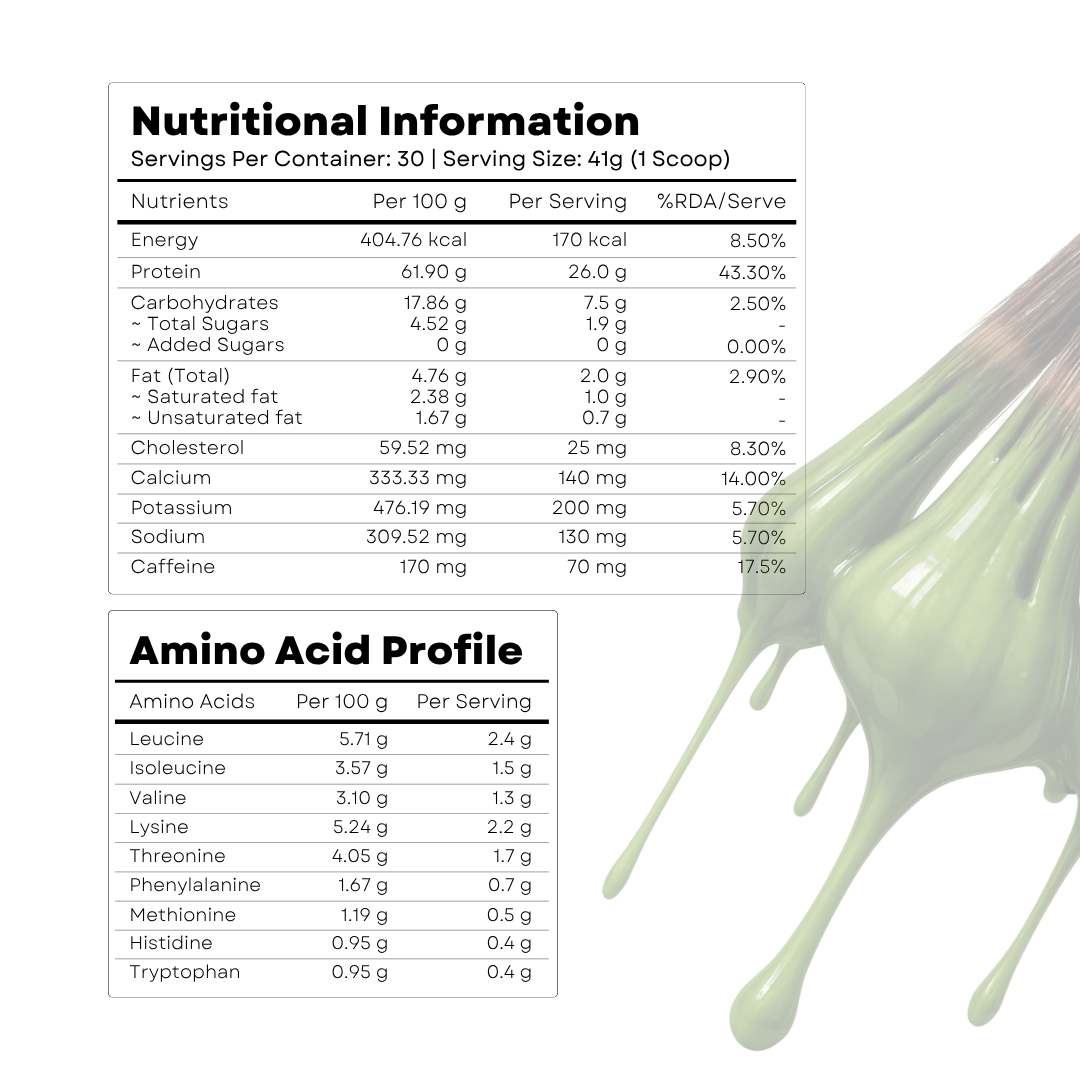 Matcha x Protein | 26 Grams Protein | True Blends Exclusive | 30 Servings