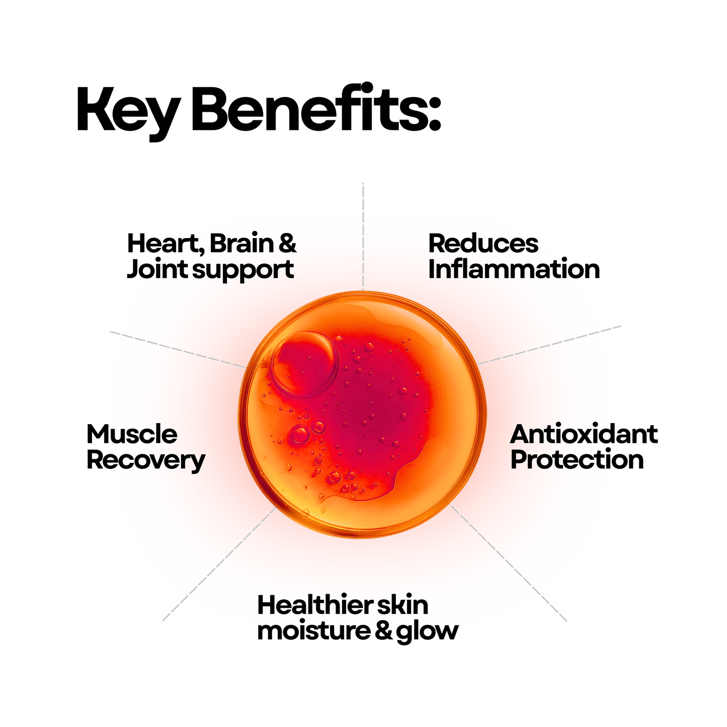 Deep Sea King Triglyceride Omega-3 V2 | 60 Softgels