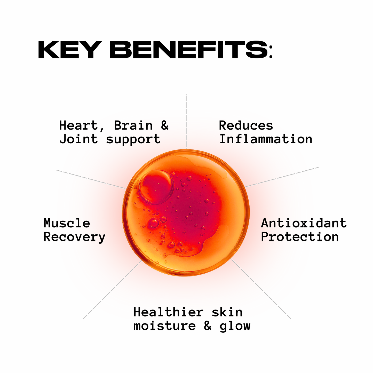 Deep Sea King Triglyceride Omega-3 V2 | 60 Softgels