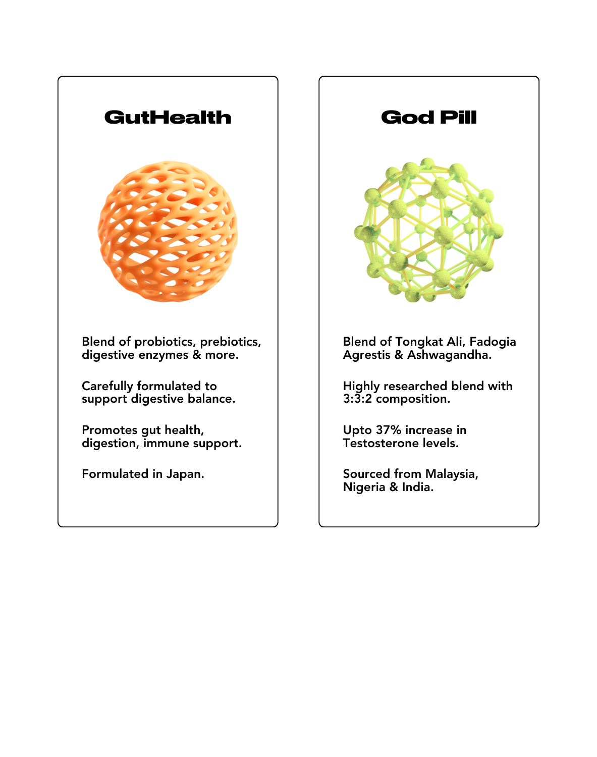 Ultimate Men's Health & Digestion Bundle