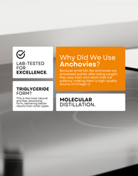 Card explaining the benefits of using anchovies in Omega-3 supplements. Left side highlights 'LAB-TESTED FOR EXCELLENCE' and 'TRIGLYCERIDE FORM' for better absorption. Right side answers 'Why Did We Use Anchovies?' noting they stay fresh and potent due to quick processing. Bottom mentions 'MOLECULAR DISTILLATION' for purity.